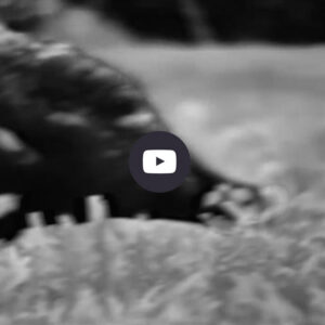 You probably - Dance - John's Cold Train Trance Session